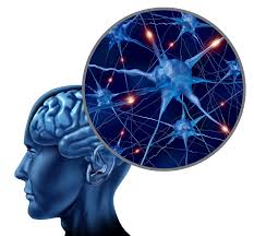 Brain neuroplasty two